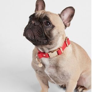 🎉🎉🎉🎉Host Pick🎉🎉🎉🎉🎉Faux leather dog collar